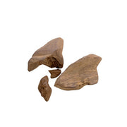 بخورمروكي اصغون جامبو ملكي