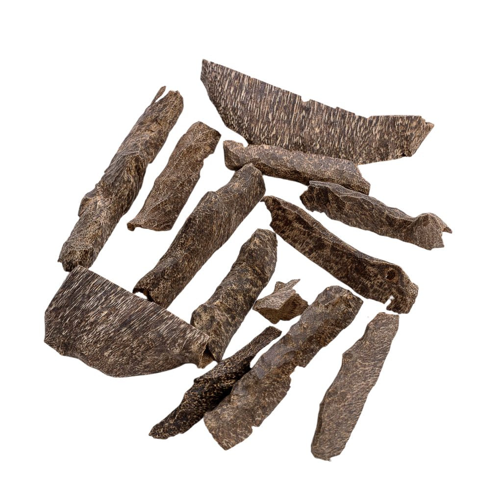 تراد العيد